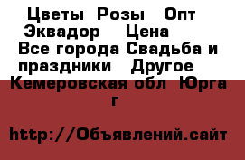 Цветы. Розы.  Опт.  Эквадор. › Цена ­ 50 - Все города Свадьба и праздники » Другое   . Кемеровская обл.,Юрга г.